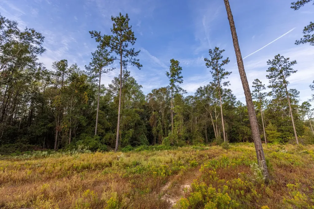 0 Whitehouse Fork Road Bay Minette AL 36507