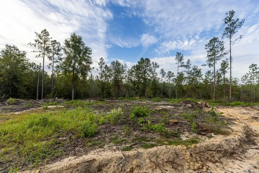 0 Whitehouse Fork Road Bay Minette AL 36507