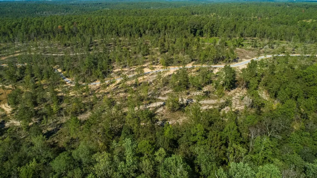 0 Whitehouse Fork Road Bay Minette AL 36507