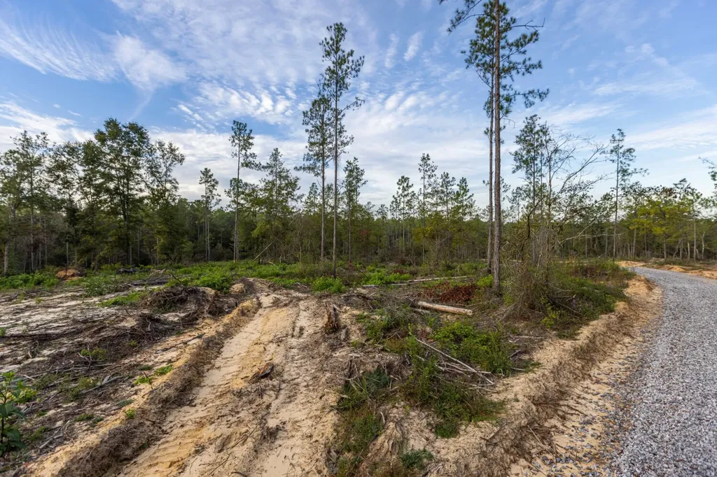 0 Whitehouse Fork Road Bay Minette AL 36507