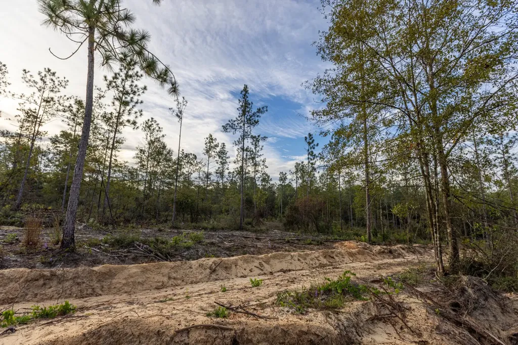 0 Whitehouse Fork Road Bay Minette AL 36507