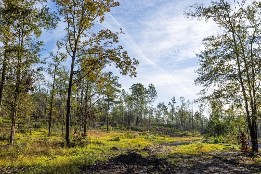0 Whitehouse Fork Road Bay Minette AL 36507