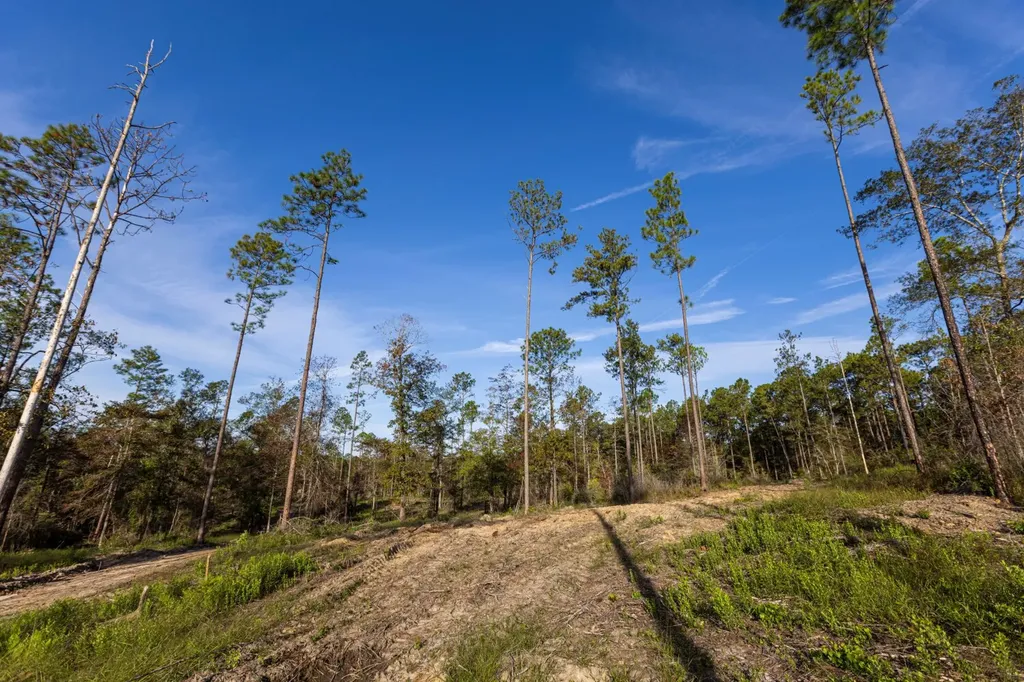 0 Whitehouse Fork Road Bay Minette AL 36507