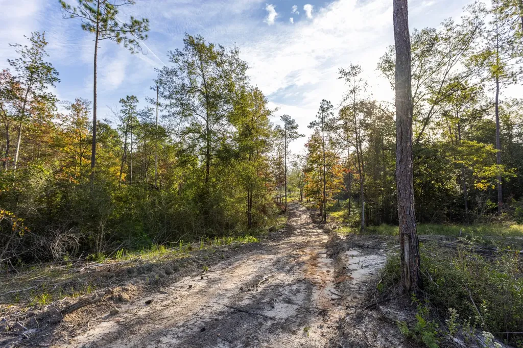 0 Whitehouse Fork Road Bay Minette AL 36507