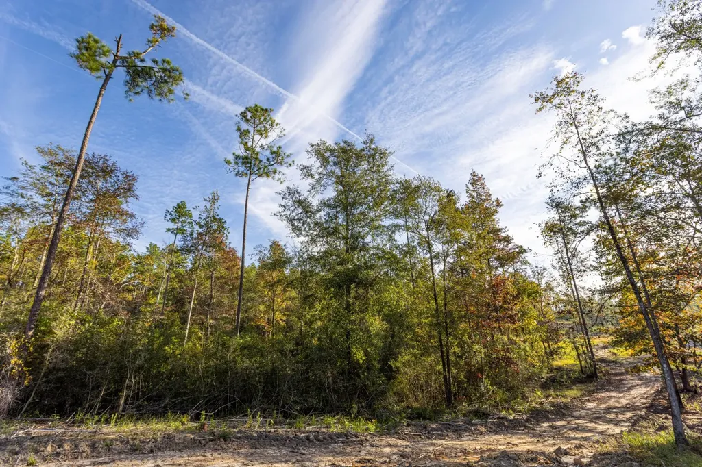0 Whitehouse Fork Road Bay Minette AL 36507