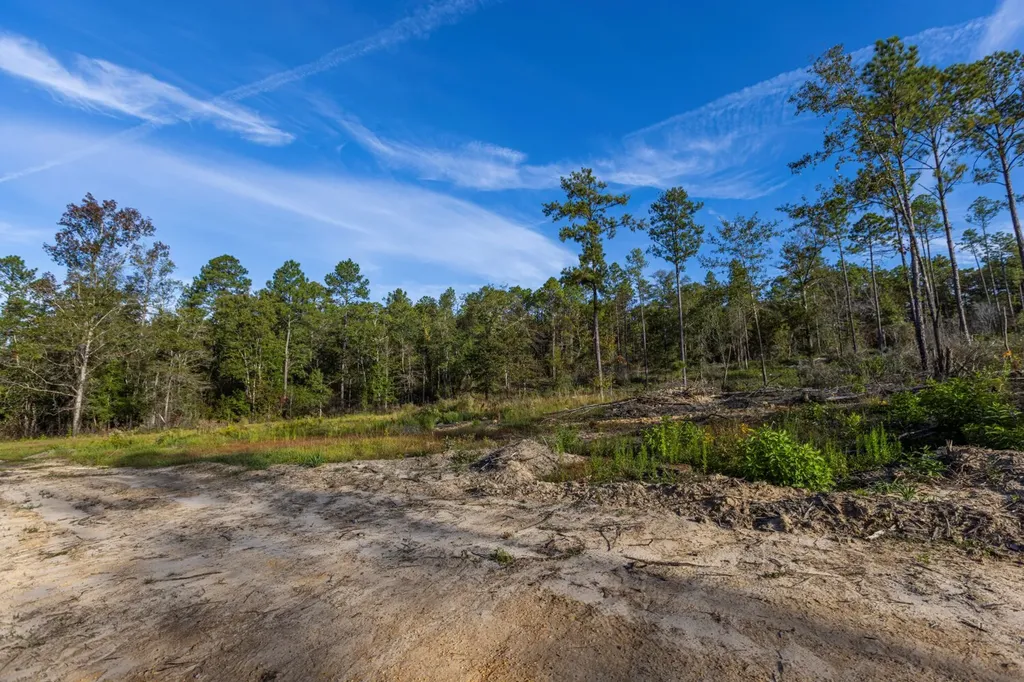 0 Whitehouse Fork Road Bay Minette AL 36507