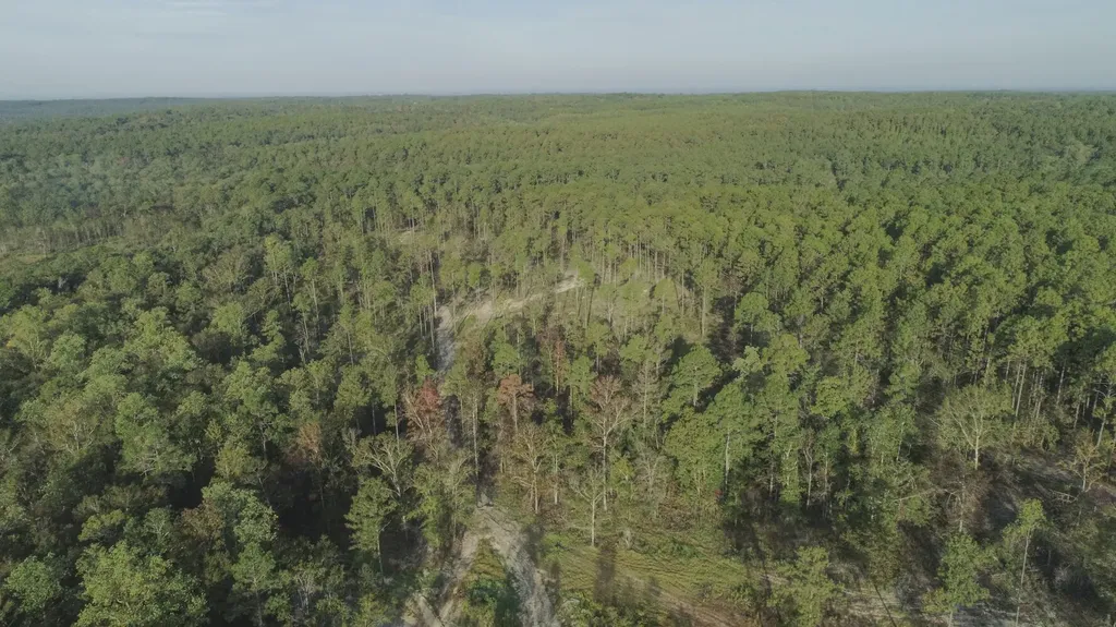 0 Whitehouse Fork Road Bay Minette AL 36507