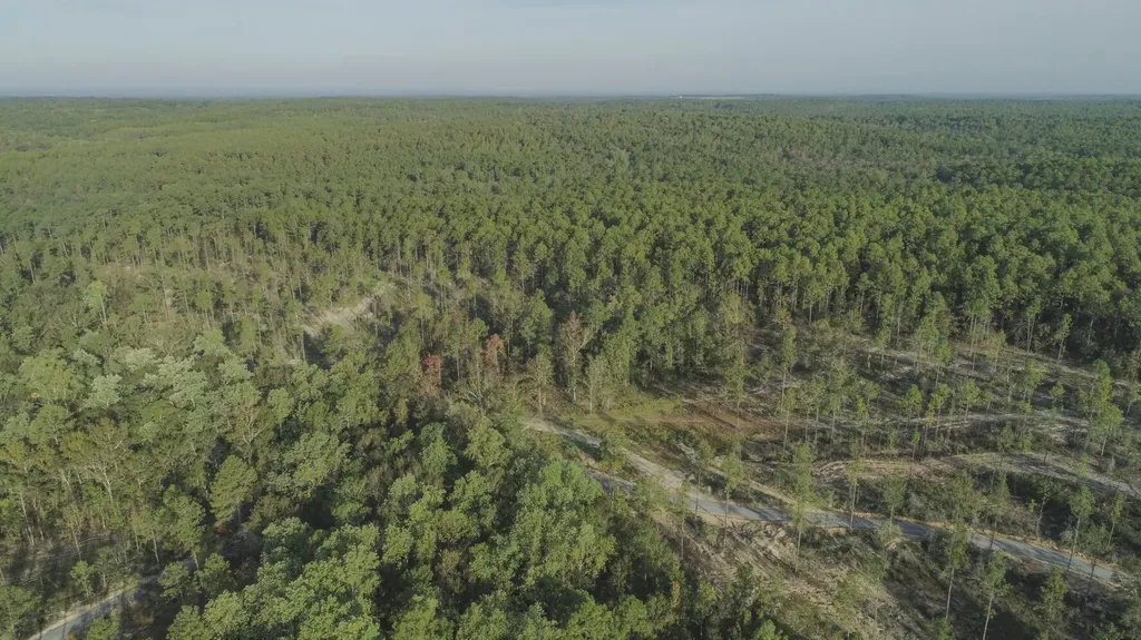0 Whitehouse Fork Road Bay Minette AL 36507
