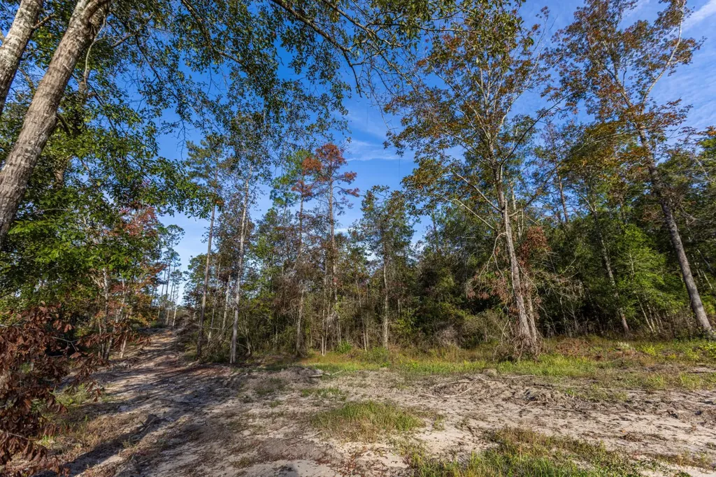 0 Whitehouse Fork Road Bay Minette AL 36507