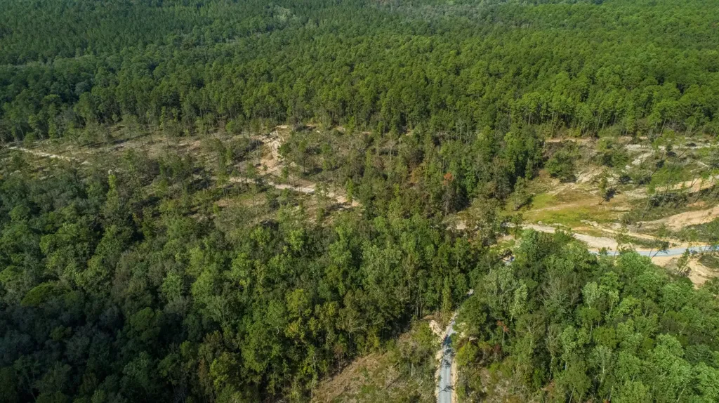0 Whitehouse Fork Road Bay Minette AL 36507