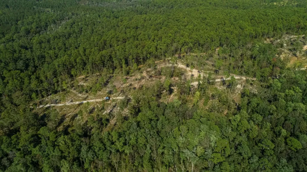0 Whitehouse Fork Road Bay Minette AL 36507