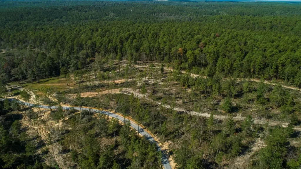 0 Whitehouse Fork Road Bay Minette AL 36507