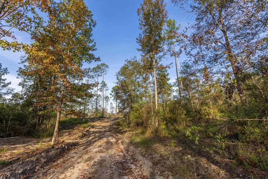 0 Whitehouse Fork Road Bay Minette AL 36507