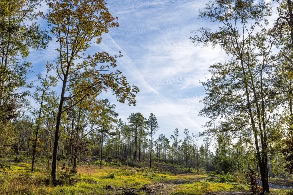 0 Whitehouse Fork Road Bay Minette AL 36507
