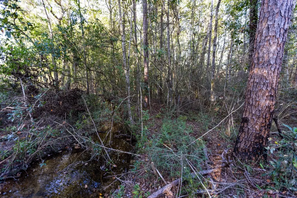 0 Whitehouse Fork Road Bay Minette AL 36507