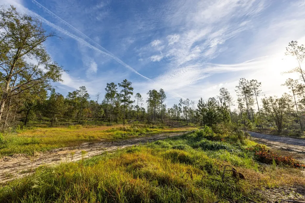 0 Whitehouse Fork Road Bay Minette AL 36507
