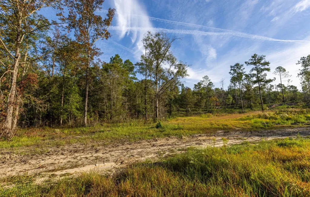 0 Whitehouse Fork Road Bay Minette AL 36507