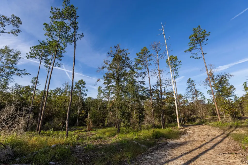0 Whitehouse Fork Road Bay Minette AL 36507