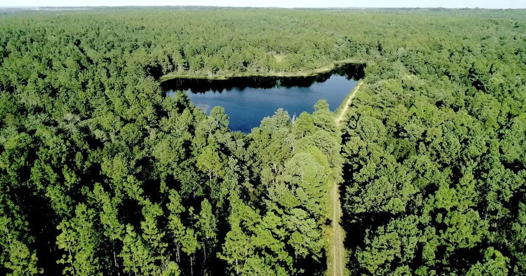 468 Oak Road Deer Park AL 36529