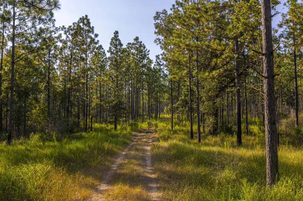 468 Oak Road Deer Park AL 36529