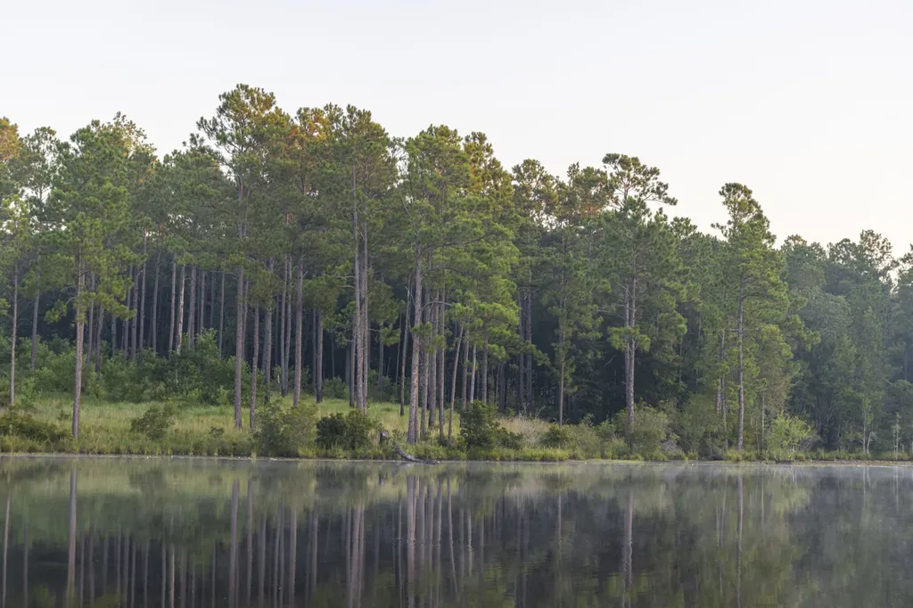 468 Oak Road Deer Park AL 36529