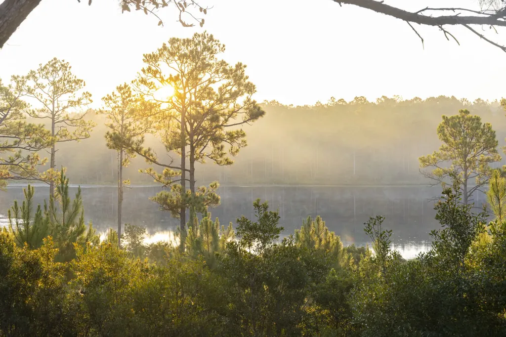 468 Oak Road Deer Park AL 36529