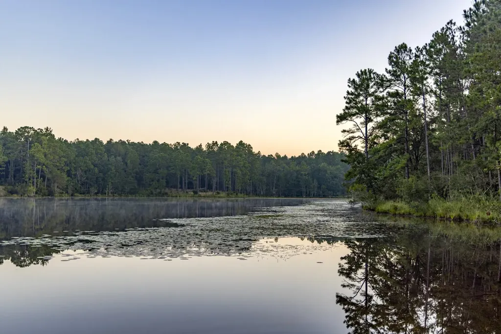 468 Oak Road Deer Park AL 36529