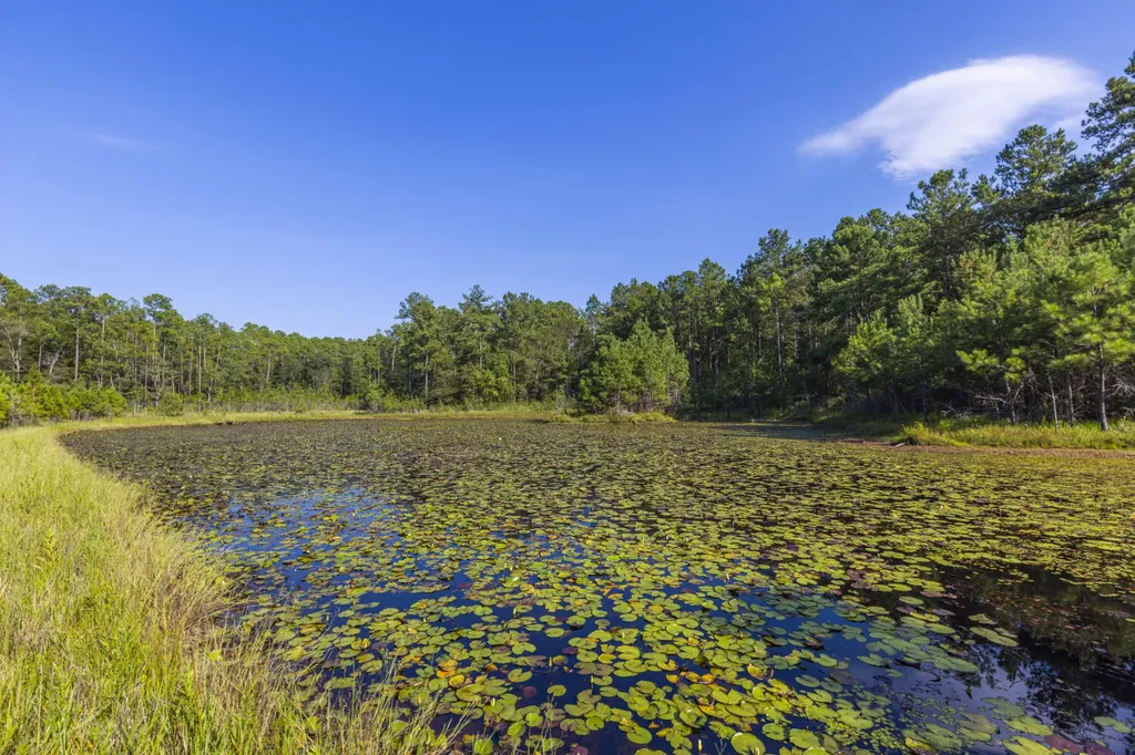 468 Oak Road Deer Park AL 36529
