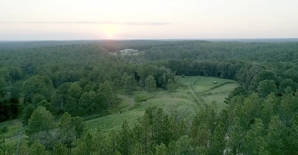 468 Oak Road Deer Park AL 36529