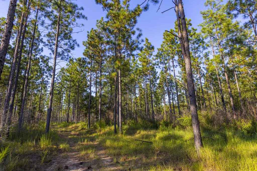 468 Oak Road Deer Park AL 36529