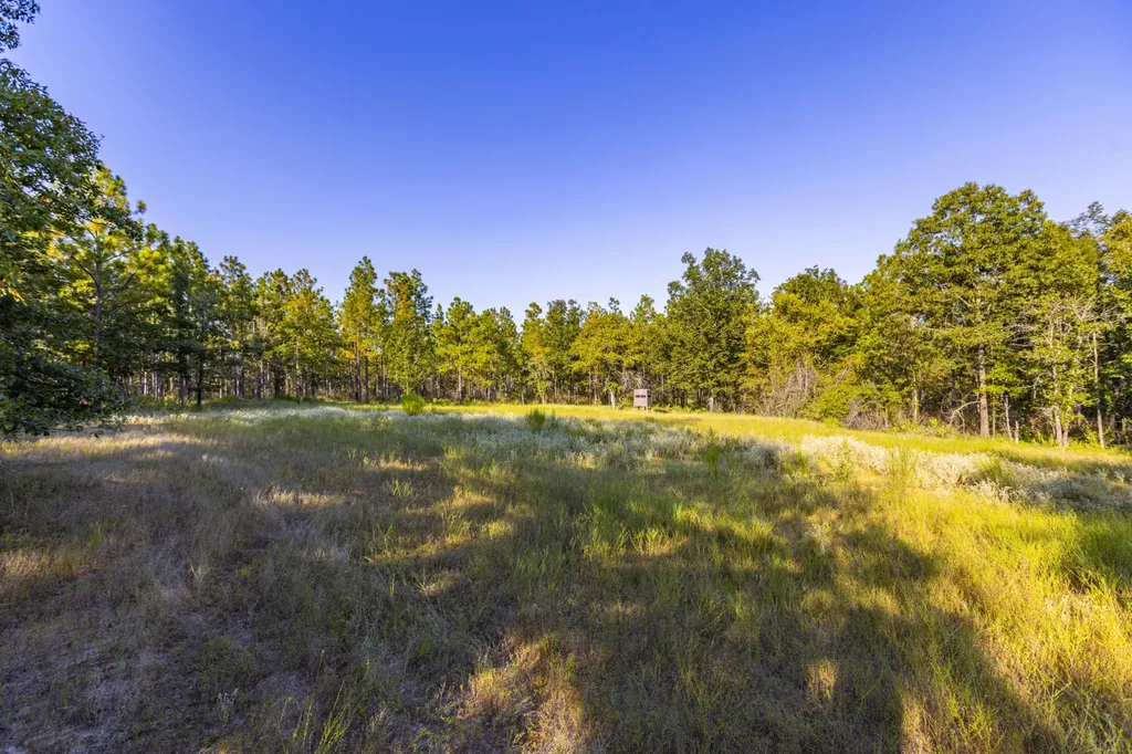 468 Oak Road Deer Park AL 36529