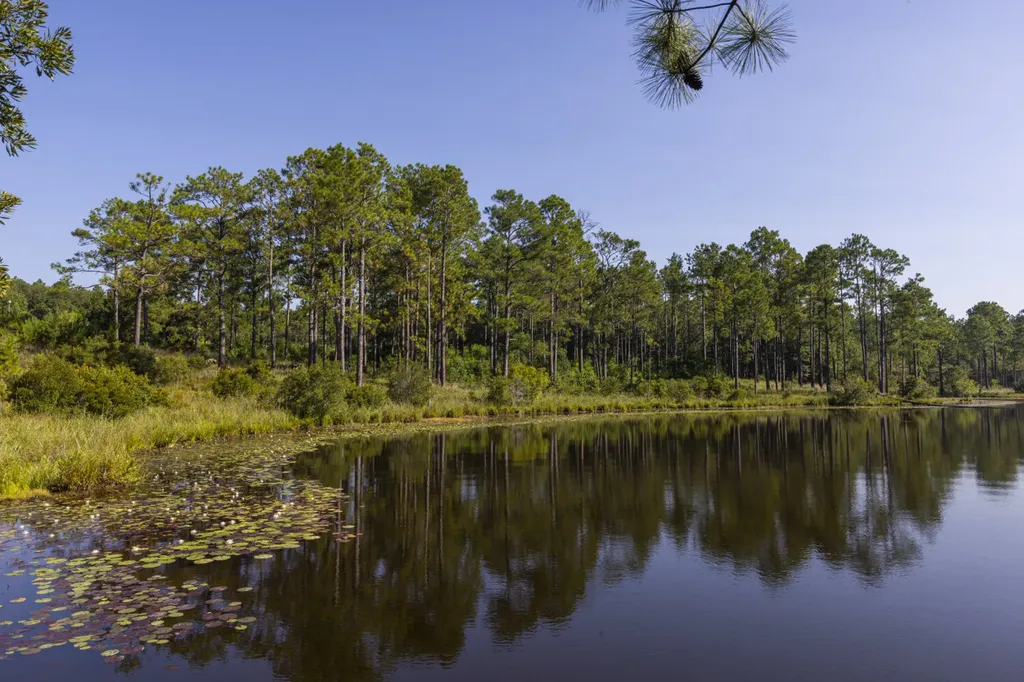 468 Oak Road Deer Park AL 36529