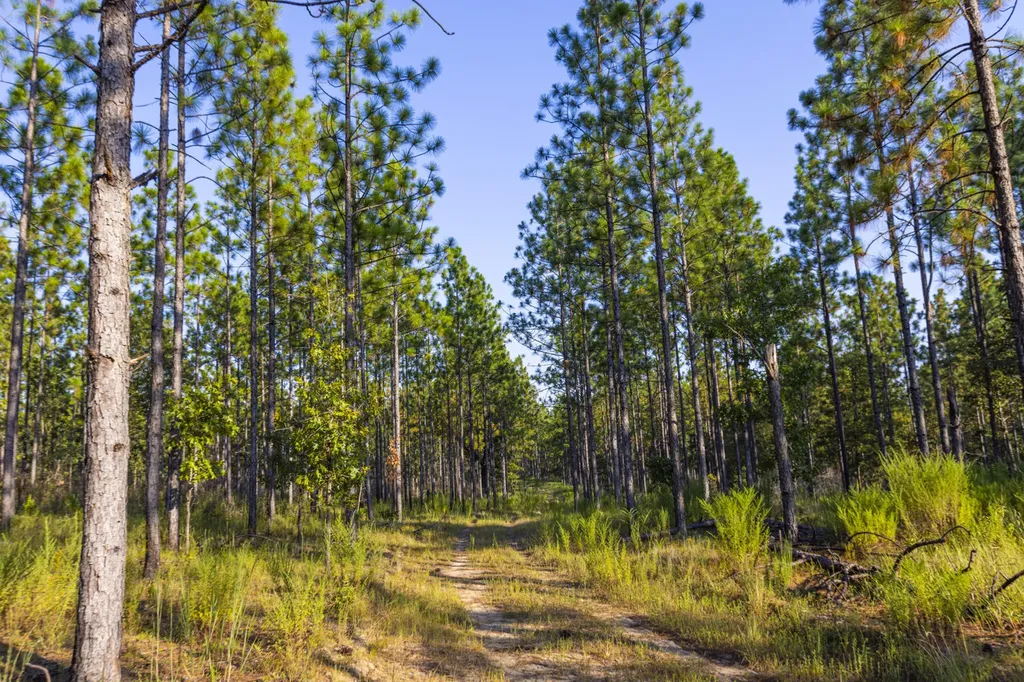 468 Oak Road Deer Park AL 36529