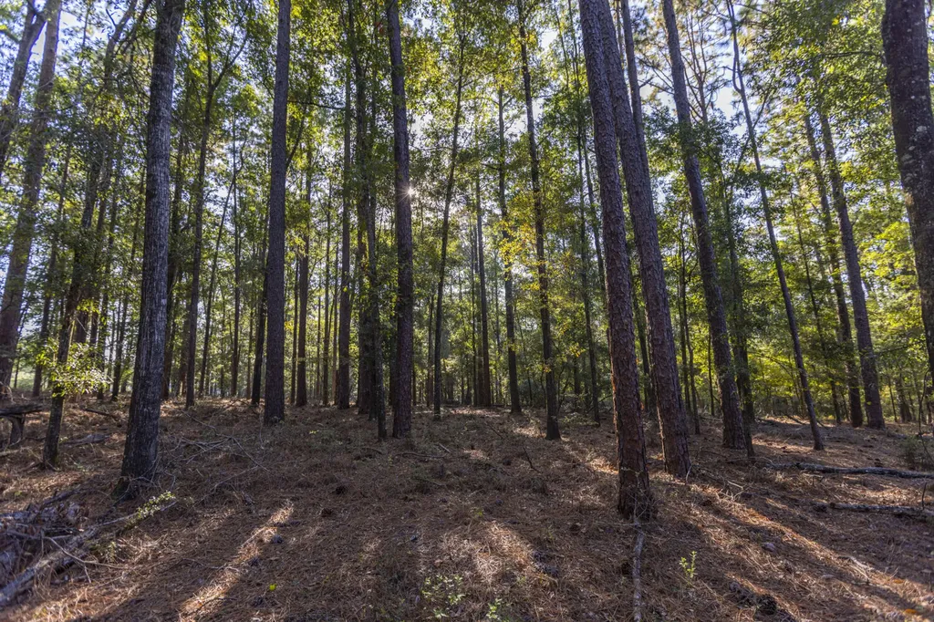 468 Oak Road Deer Park AL 36529