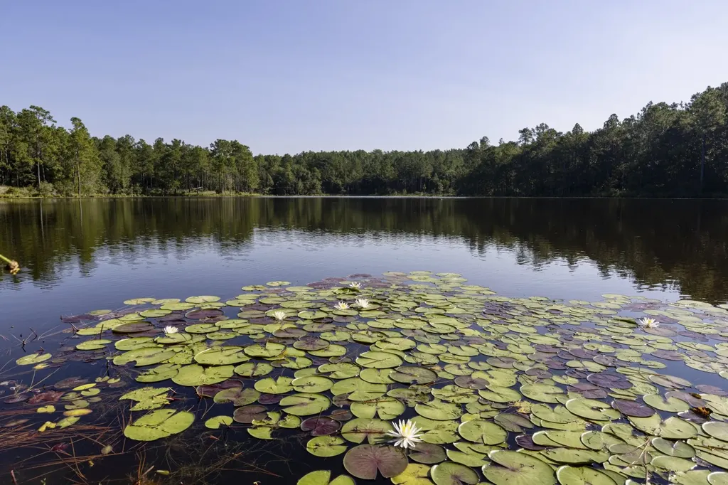 468 Oak Road Deer Park AL 36529