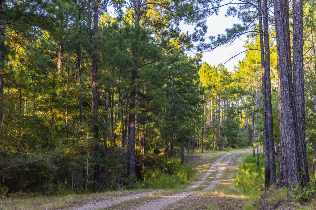 468 Oak Road Deer Park AL 36529