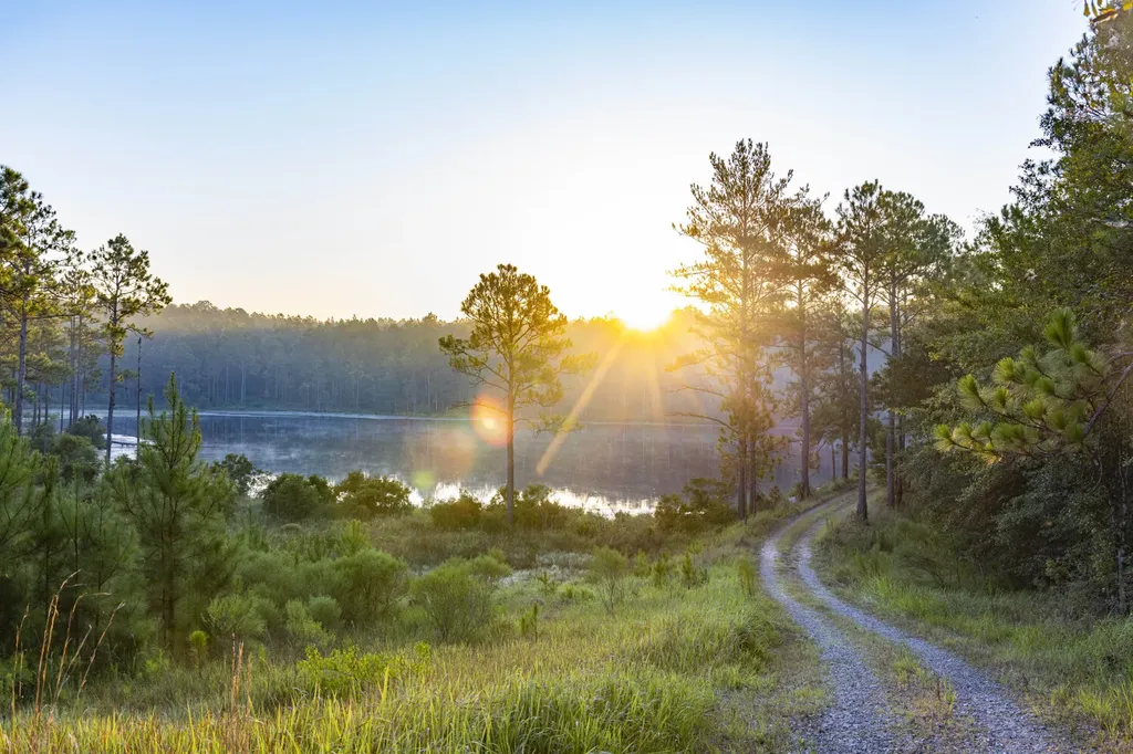 468 Oak Road Deer Park AL 36529