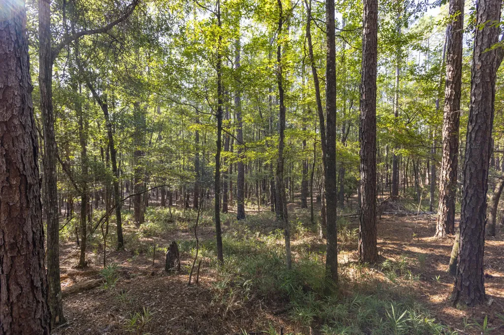 468 Oak Road Deer Park AL 36529