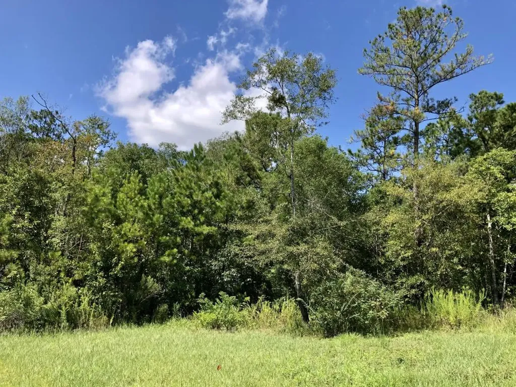 32947 Boardwalk Drive Spanish Fort AL 36527