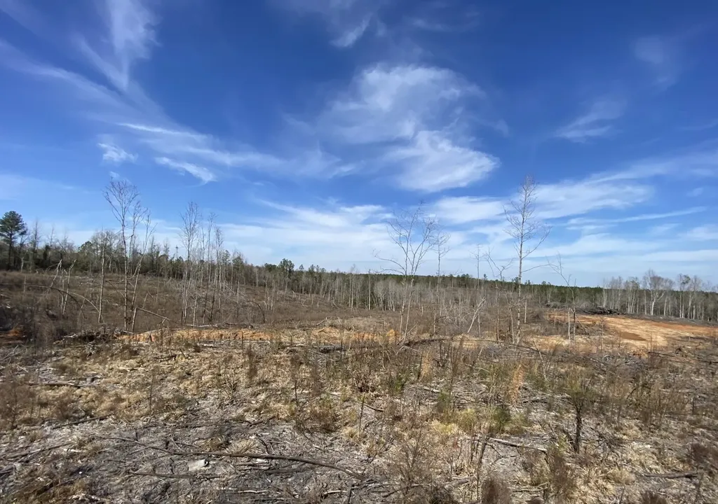 0 County Road 30 Sawyerville AL 36776