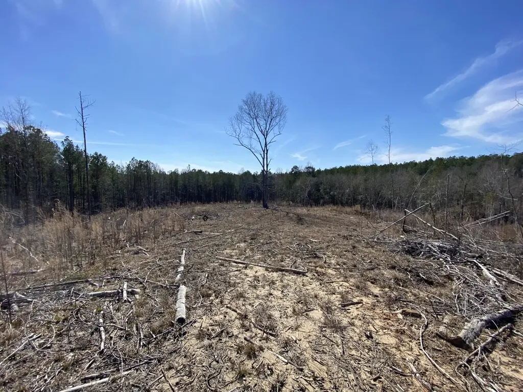 0 County Road 30 Sawyerville AL 36776