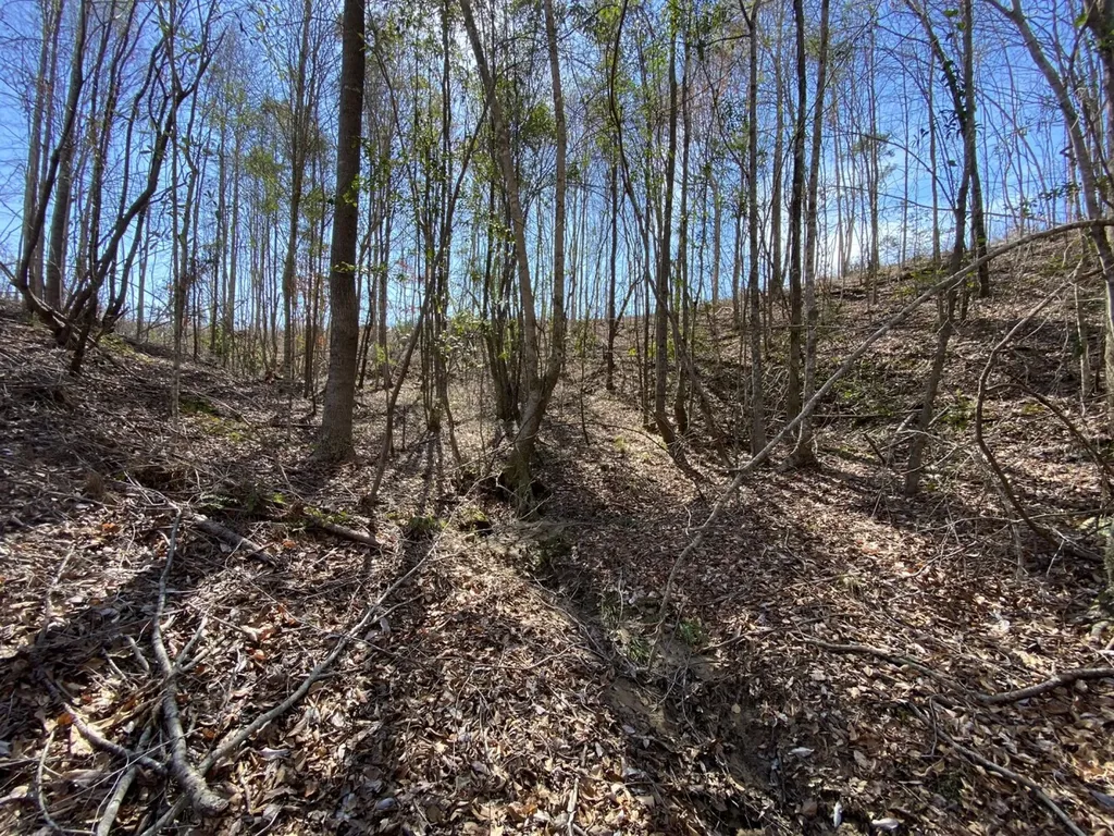 0 County Road 30 Sawyerville AL 36776