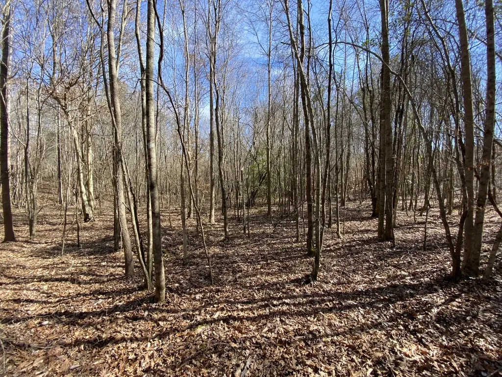 0 County Road 30 Sawyerville AL 36776