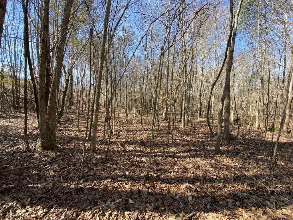 0 County Road 30 Sawyerville AL 36776