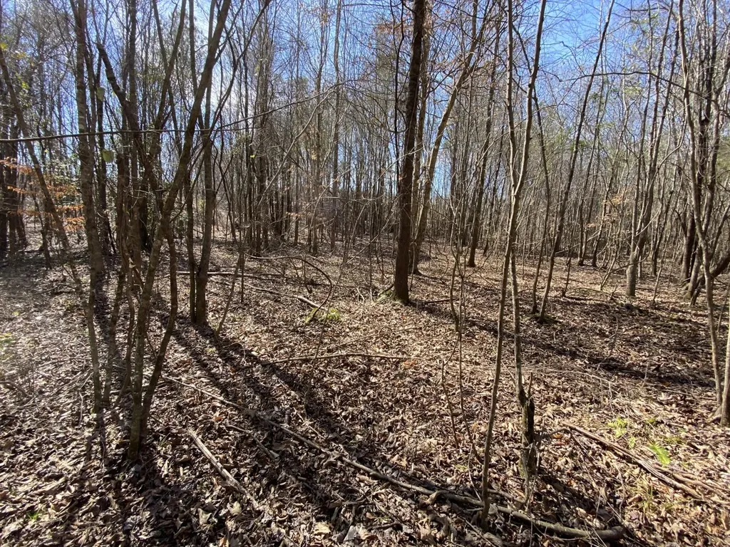 0 County Road 30 Sawyerville AL 36776