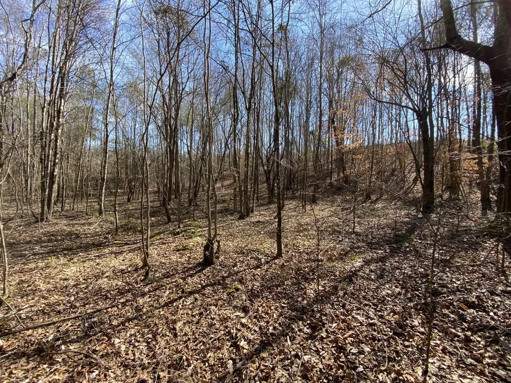 0 County Road 30 Sawyerville AL 36776