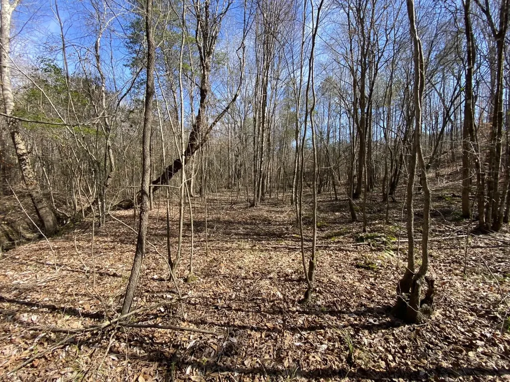 0 County Road 30 Sawyerville AL 36776