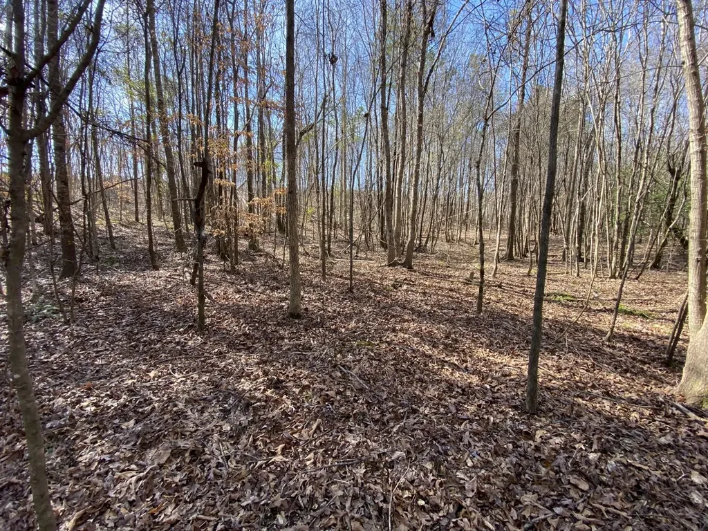 0 County Road 30 Sawyerville AL 36776