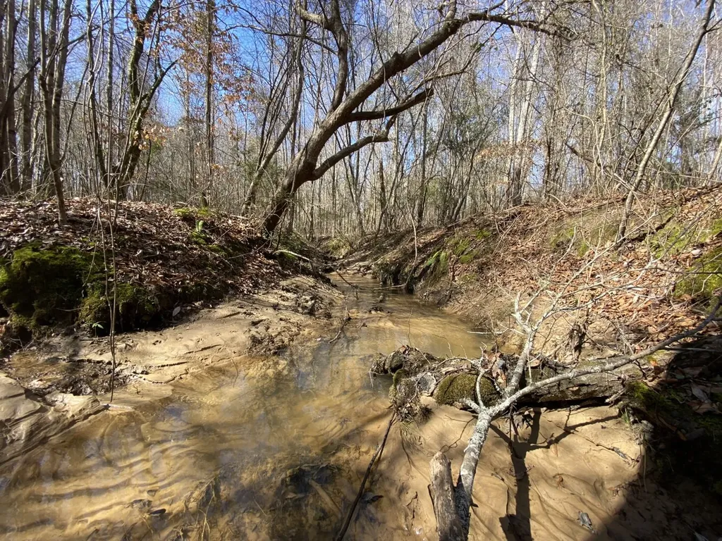 0 County Road 30 Sawyerville AL 36776