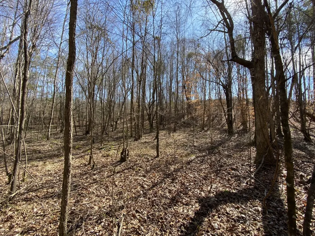 0 County Road 30 Sawyerville AL 36776